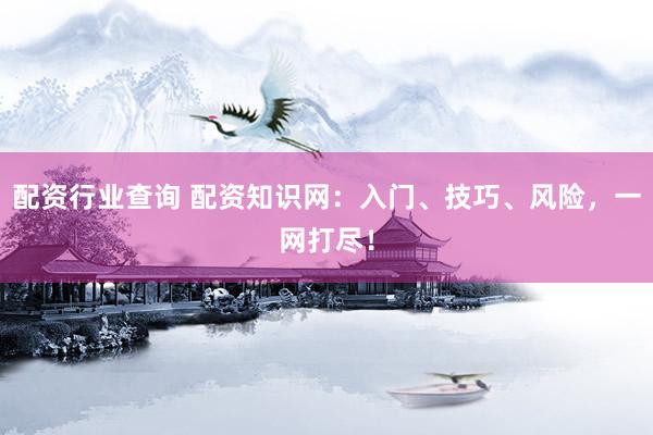 配资行业查询 配资知识网：入门、技巧、风险，一网打尽！