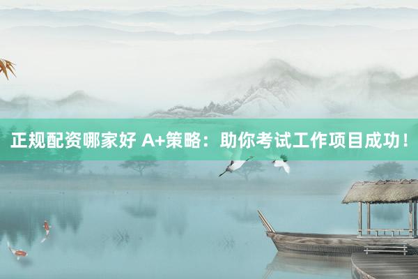 正规配资哪家好 A+策略：助你考试工作项目成功！
