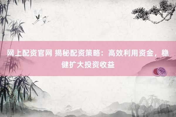 网上配资官网 揭秘配资策略：高效利用资金，稳健扩大投资收益