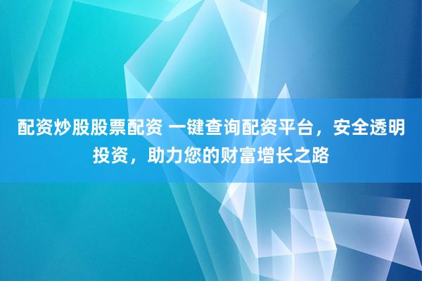 配资炒股股票配资 一键查询配资平台，安全透明投资，助力您的财富增长之路