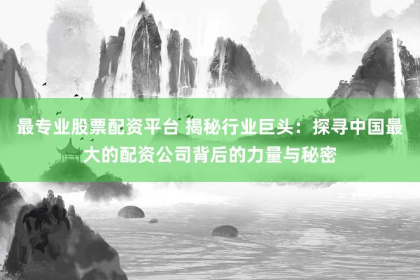 最专业股票配资平台 揭秘行业巨头：探寻中国最大的配资公司背后的力量与秘密