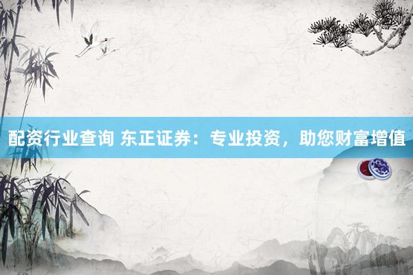 配资行业查询 东正证券：专业投资，助您财富增值