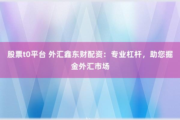 股票t0平台 外汇鑫东财配资：专业杠杆，助您掘金外汇市场