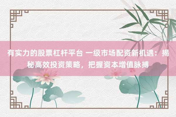 有实力的股票杠杆平台 一级市场配资新机遇：揭秘高效投资策略，把握资本增值脉搏