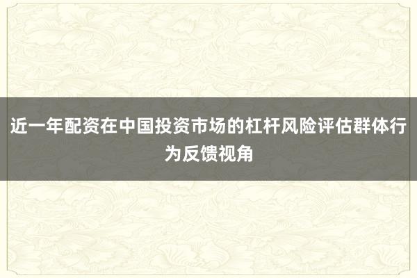 近一年配资在中国投资市场的杠杆风险评估群体行为反馈视角