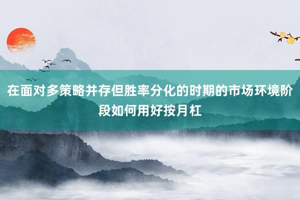 在面对多策略并存但胜率分化的时期的市场环境阶段如何用好按月杠
