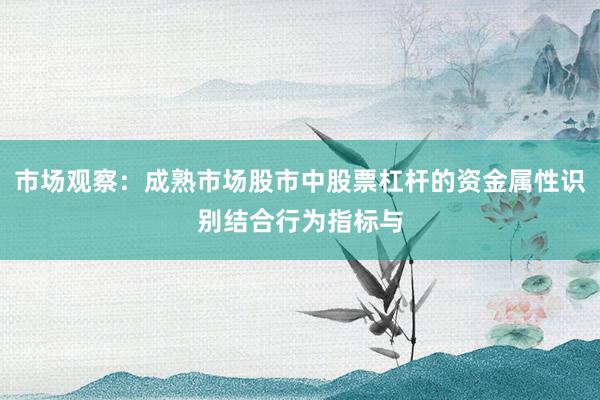 市场观察：成熟市场股市中股票杠杆的资金属性识别结合行为指标与